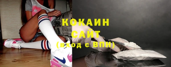 стаф Абинск