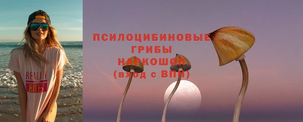 стаф Абинск