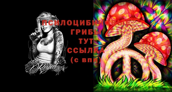 кокс Россошь